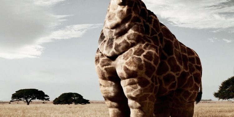 Quel est l'ancêtre de l'éléphant ?