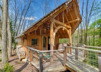 Où Trouve-t-on des Viperes en France ?