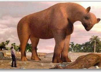 Quel est l'animal le plus grand sur terre ?