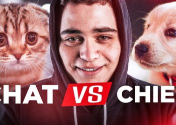 Quel est l'animal préféré ?