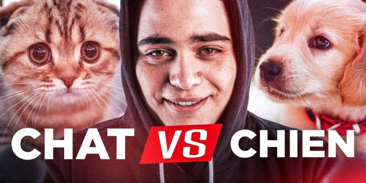 Quel est l'animal préféré ?