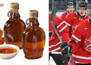 Quel est le symbole le plus connu et respecté du Canada ?