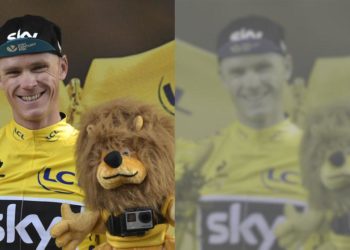 Comment les chiens voient la TV ?