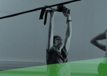 Quel est le prix d'un Yorkshire ?