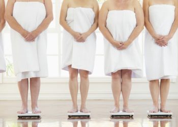 Quel chien choisir après 60 ans ?