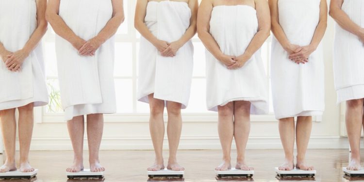 Quel chien choisir après 60 ans ?