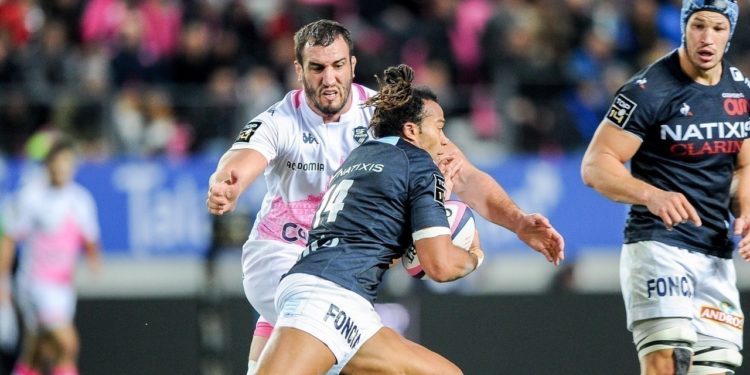 Quel est le plus gros molosse ?