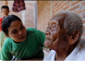 Quel âge a le plus vieux lapin du monde ?