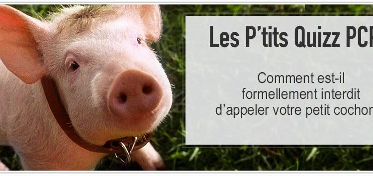 Quel est le plus petit cochon ?