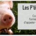 Quel est le plus petit cochon ?