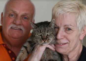 Quel est l'âge du plus vieux chat du monde ?