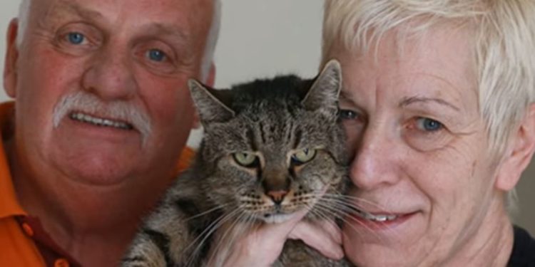 Quel Est L Age Du Plus Vieux Chat Du Monde