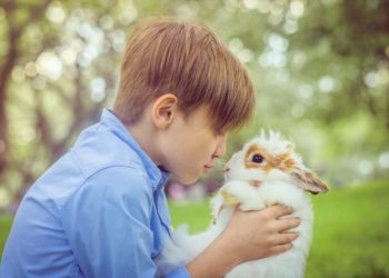 Pourquoi le lapin nous lèche ?