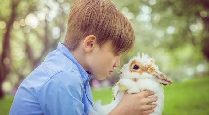 Pourquoi le lapin nous lèche ?