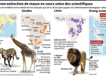 Quelles sont les extinction de masse ?