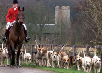 Pourquoi interdire la chasse à courre ?