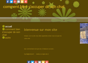 Comment bien s'occuper de son cocker ?