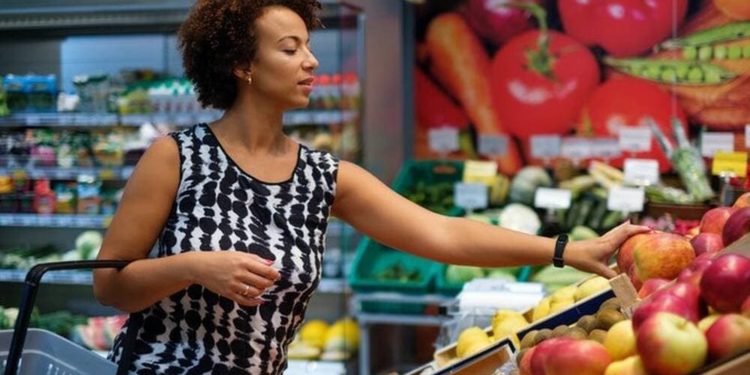 Pourquoi ne pas toucher les oisillons ?