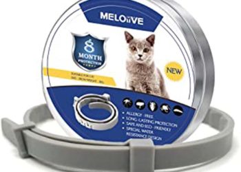 Quel est le meilleur anti puce pour chat ?