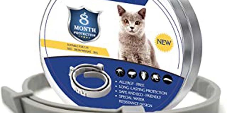 Quel est le meilleur anti puce pour chat ?