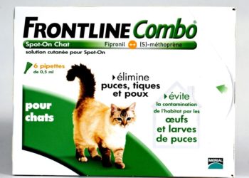Quel est le meilleur produit anti puce pour chat ?