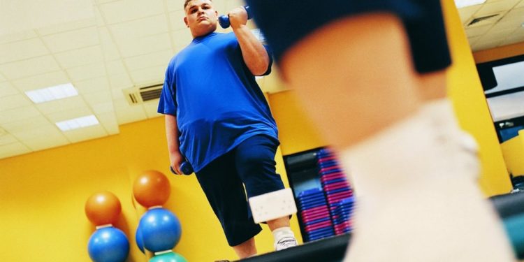 Quel est le poids d'une biche ?