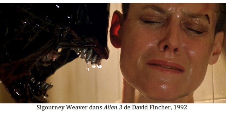 Quel est le féminin de daim ?