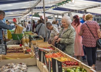 Quels sont les primates ?