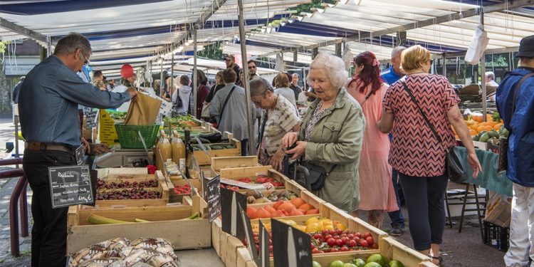 Quels sont les primates ?