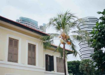 Comment s'appelle le petit de la canne ?