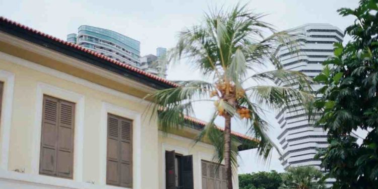 Comment s'appelle le petit de la canne ?