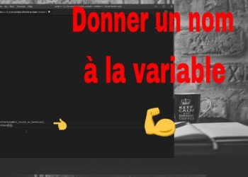 Comment donner un nom à une tortue ?