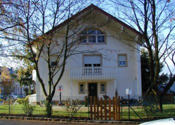 Quelles sont les caractéristiques d'une biche ?