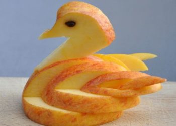 Comment approcher un cygne ?