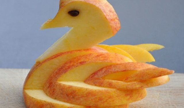 Comment approcher un cygne ?