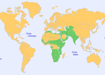 Où habite les caracal ?