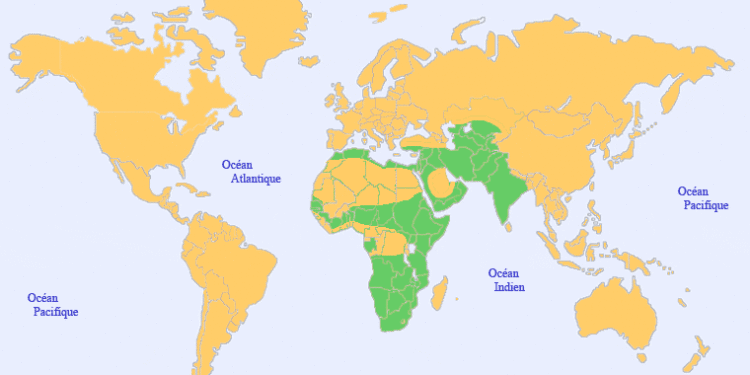 Où habite les caracal ?