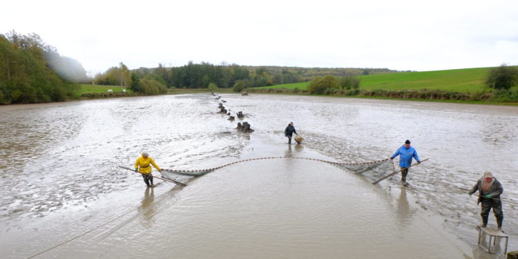 Où il y a les poissons ?