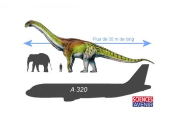 Quel est le plus grand dinosaure de tous les temps ?