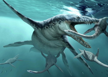 Comment s'appelle le dinosaure qui vole ?