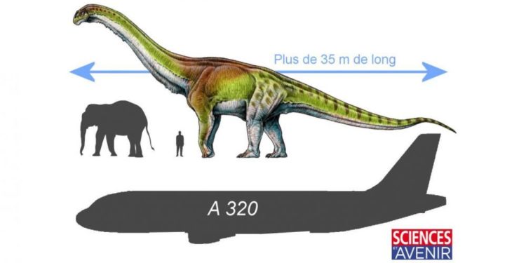 Quel est le plus grand dinosaure de tous les temps ?