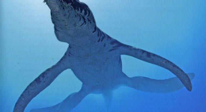 Quel est le plus grand reptile marin ?