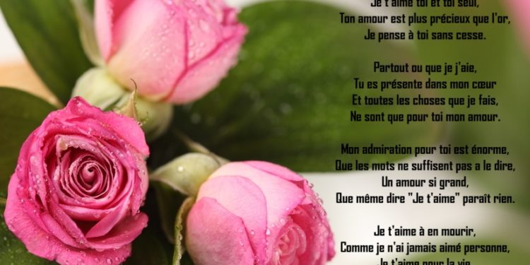 Quel est le plus beau poème d'amour ?