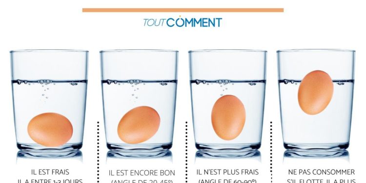 Comment savoir si un œuf d'oie est frais ?