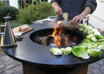 Quel est le meilleur poisson à cuisiner ?