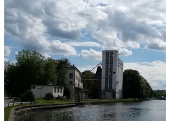 Quelle est la particularité des pieuvres ?