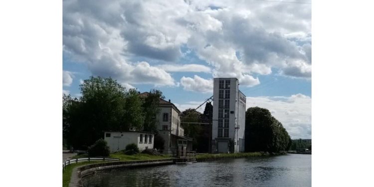 Quelle est la particularité des pieuvres ?