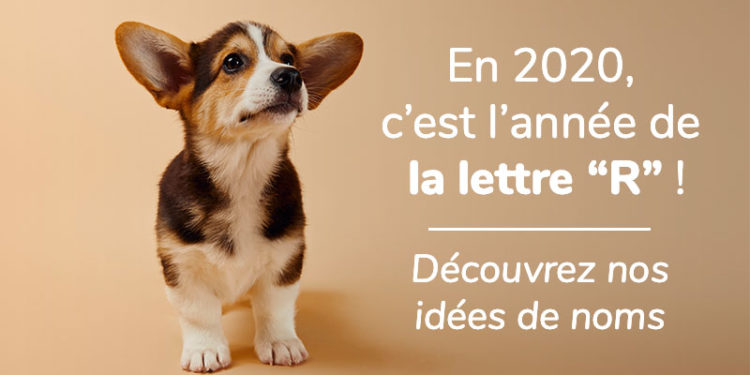 Quel nom pour un chien 2020 ?