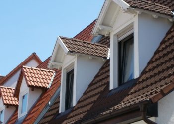 Quel est le prix d'un sharpei ?