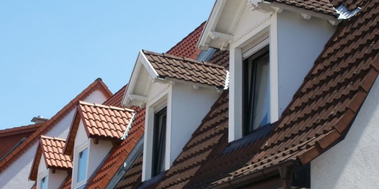 Quel est le prix d'un sharpei ?